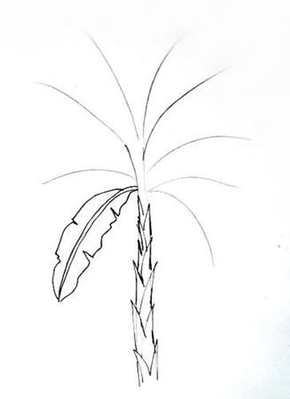 327x450 How To Draw A Banana Plant