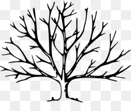 260x220 Free Download Tree Drawing Silhouette Clip Art