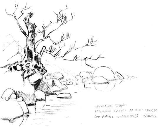 550x444 Streamside Journal