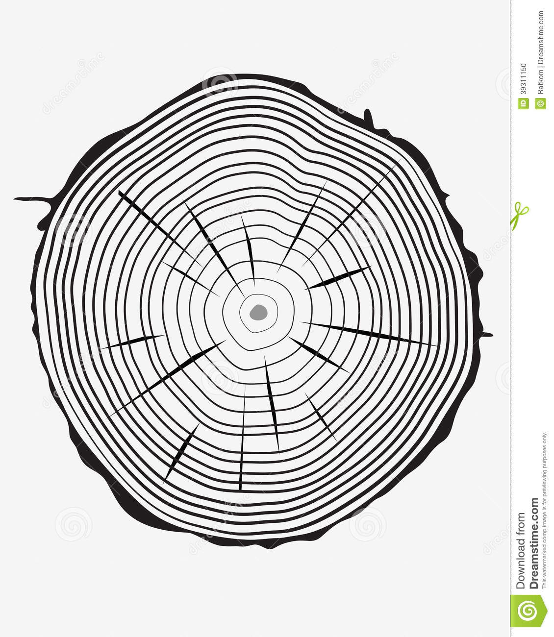 1130x1300 Tree Ring Clipart