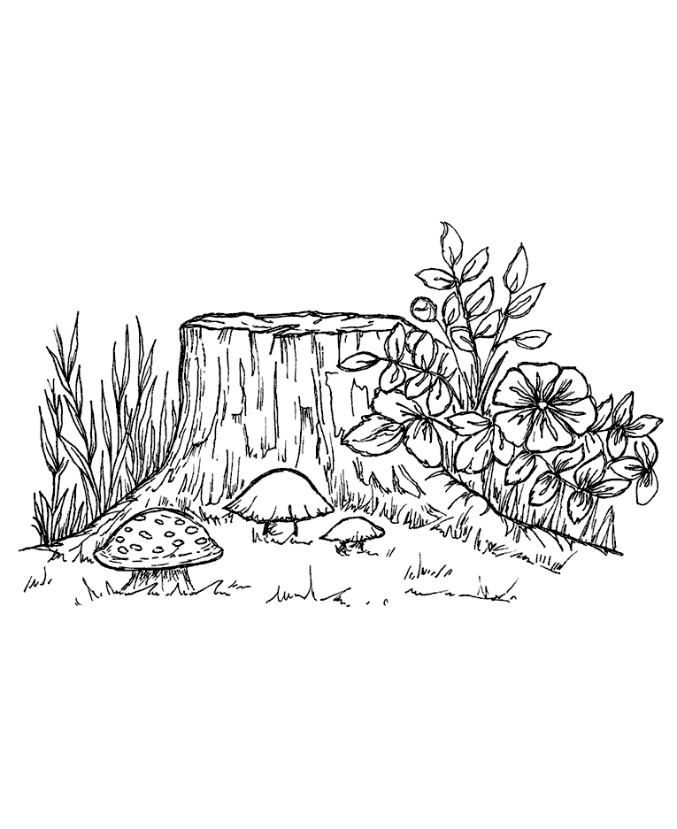 765x937 Woodland Tree Stump Wood Mount Stamp M1 10470j