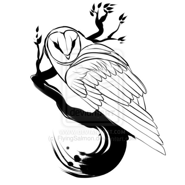 600x600 Collection Of Barn Owl Sitting On Tree Tattoo On Back