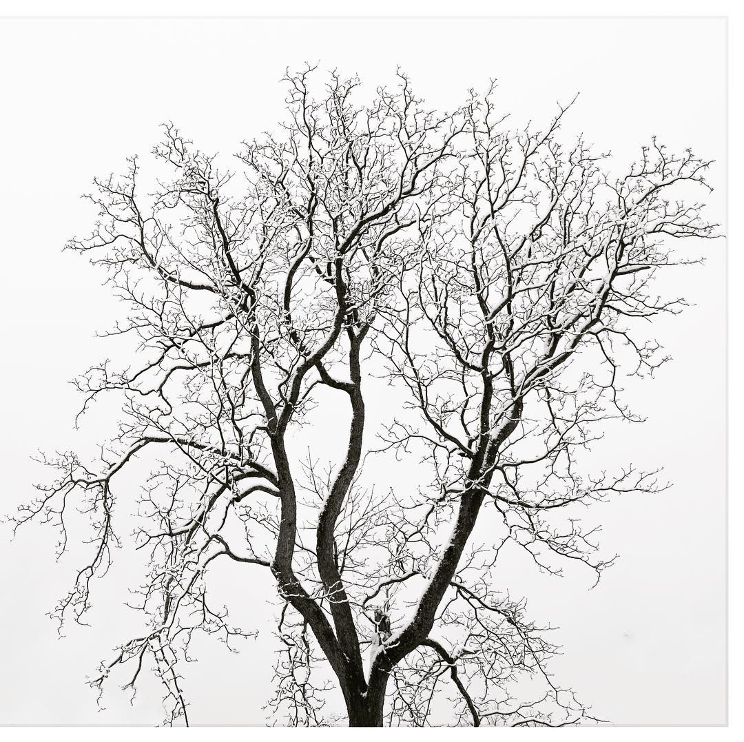 1080x1077 Images About