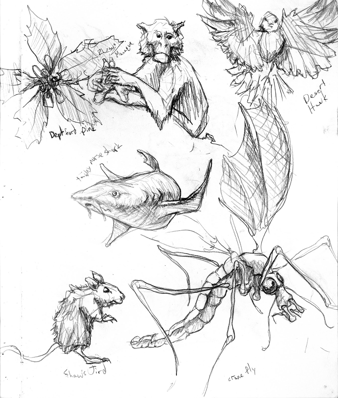 1358x1600 Sketch The Og Bog Blog Page 3