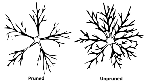 500x283 An Introduction To Pruning Apple Trees