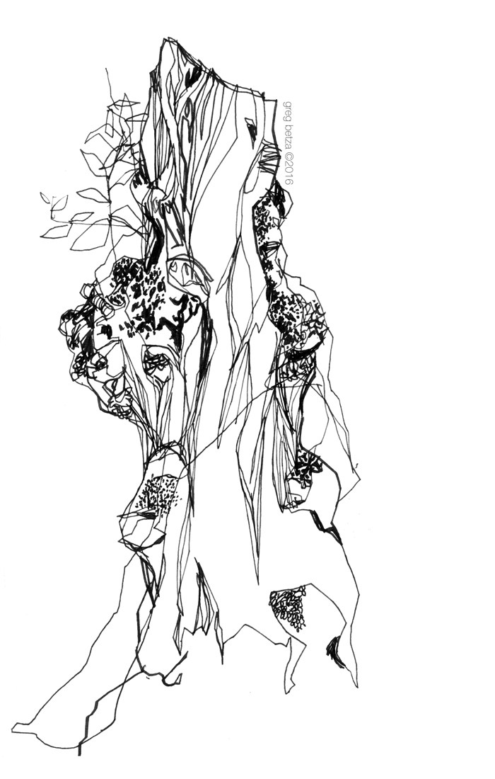 700x1100 Old Tree Trunk