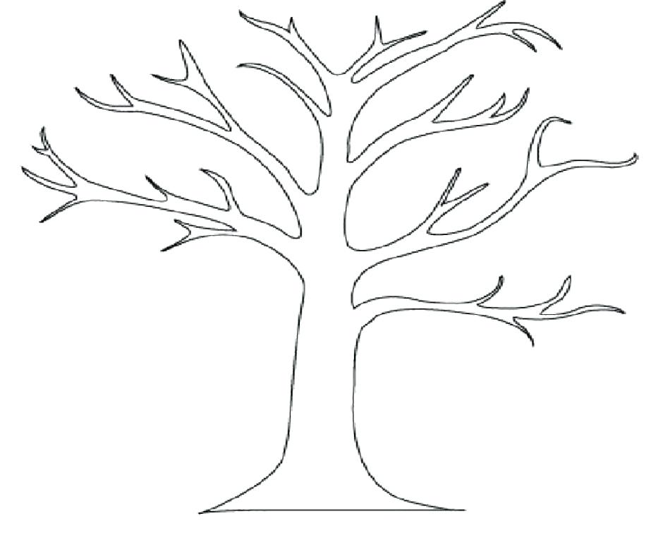 Tree Trunk Drawing at GetDrawings | Free download