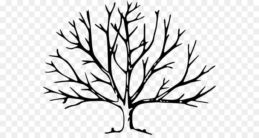 900x480 Tree Drawing Silhouette Clip Art