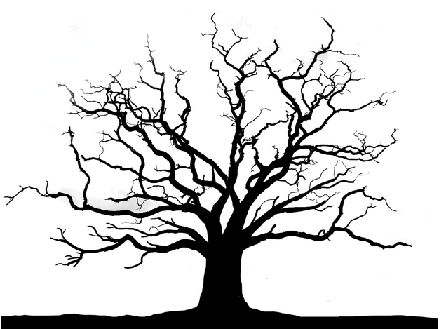 Tree Trunk Drawing at GetDrawings | Free download