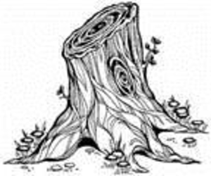 300x250 Dead Tree Stump Free Images