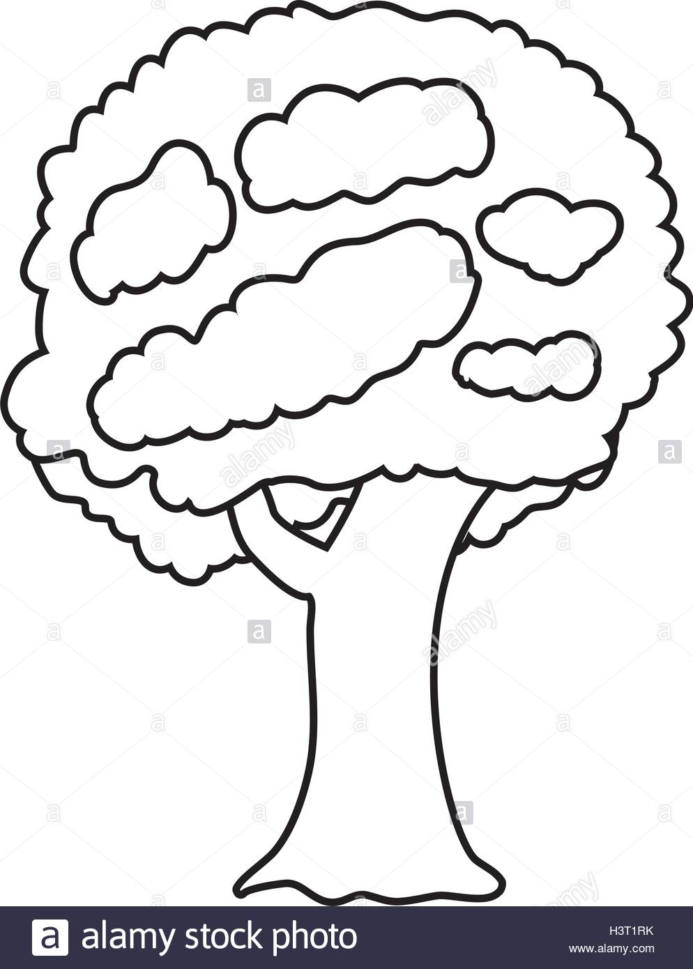 994x1390 Tree With Leaves And Trunk Stock Vector Art Amp Illustration, Vector