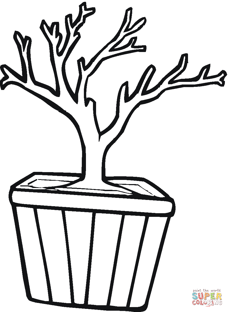 878x1200 Bonsai In A Pot Coloring Page Free Printable Coloring Pages