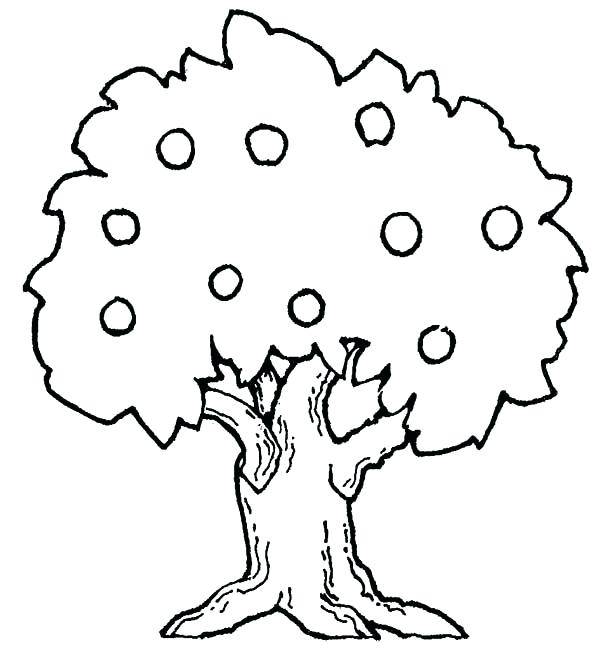 600x666 Coloring Pages Tree Leaf Fall Tree Coloring Pages Trees Latest