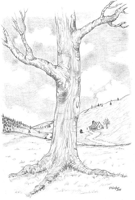 Tree Trunks Drawing at GetDrawings | Free download