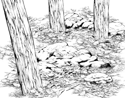 519x407 People Who Sick Of Drawing Natural Object Must See! Draw Forest