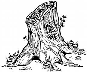 289x240 Line Drawing Leaves 20 Second Animation Pipe Line