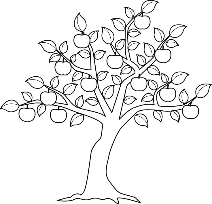 736x708 Coloring Pages Tree Tree Coloring Pages 8 Coloring Pictures