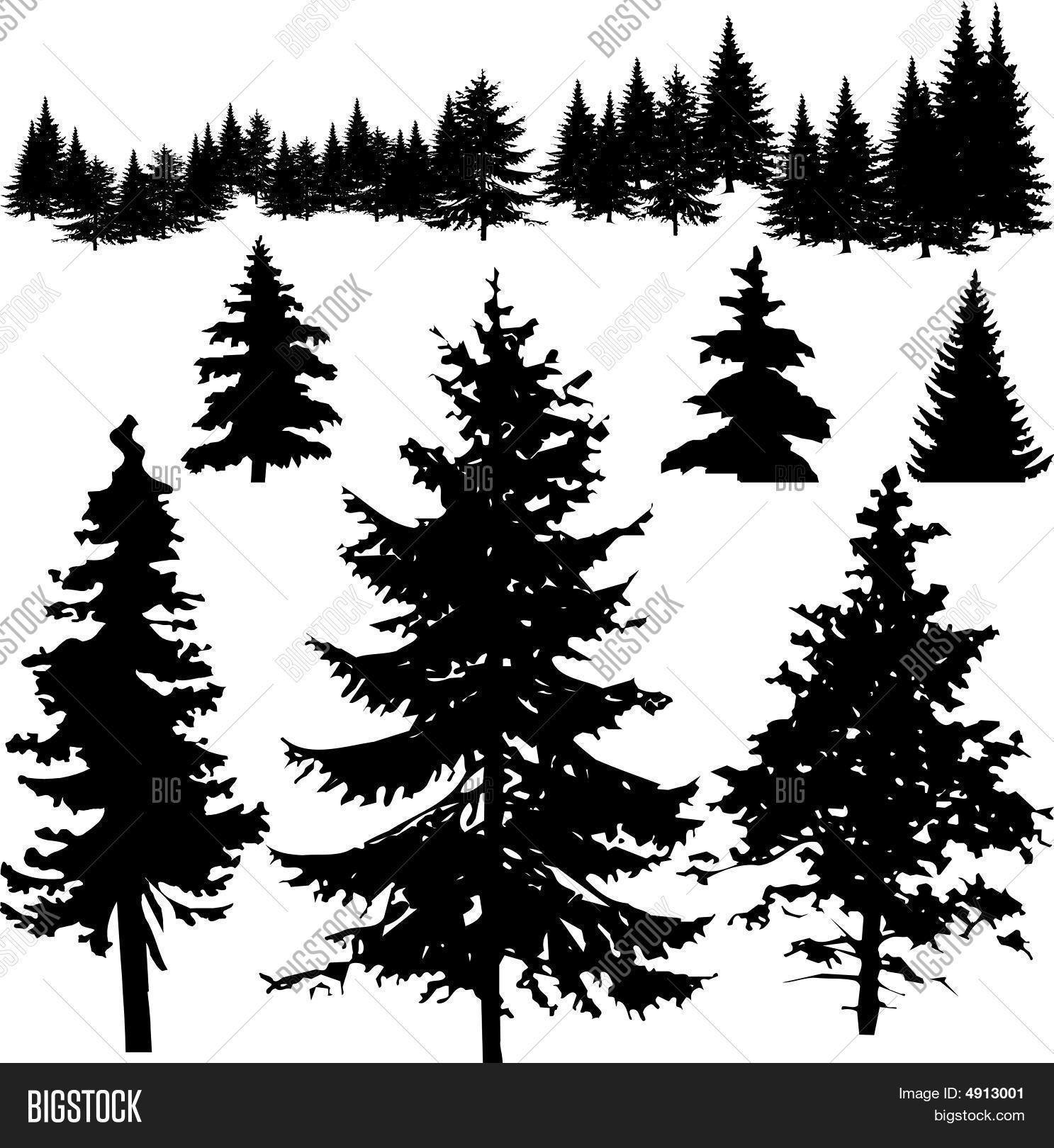 1487x1620 Detailed Vectoral Pine Tree Vector Amp Photo Bigstock