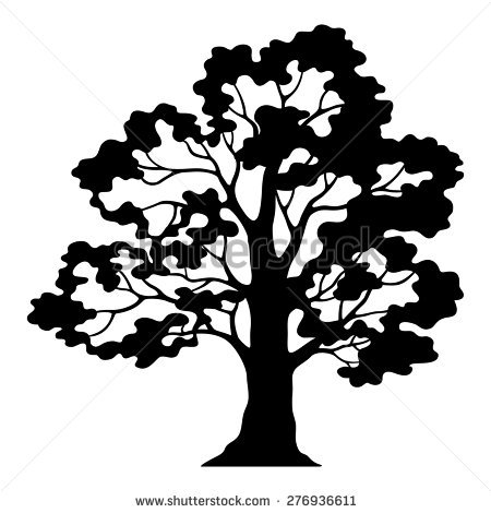 450x470 Drawn Fir Tree Oak Tree
