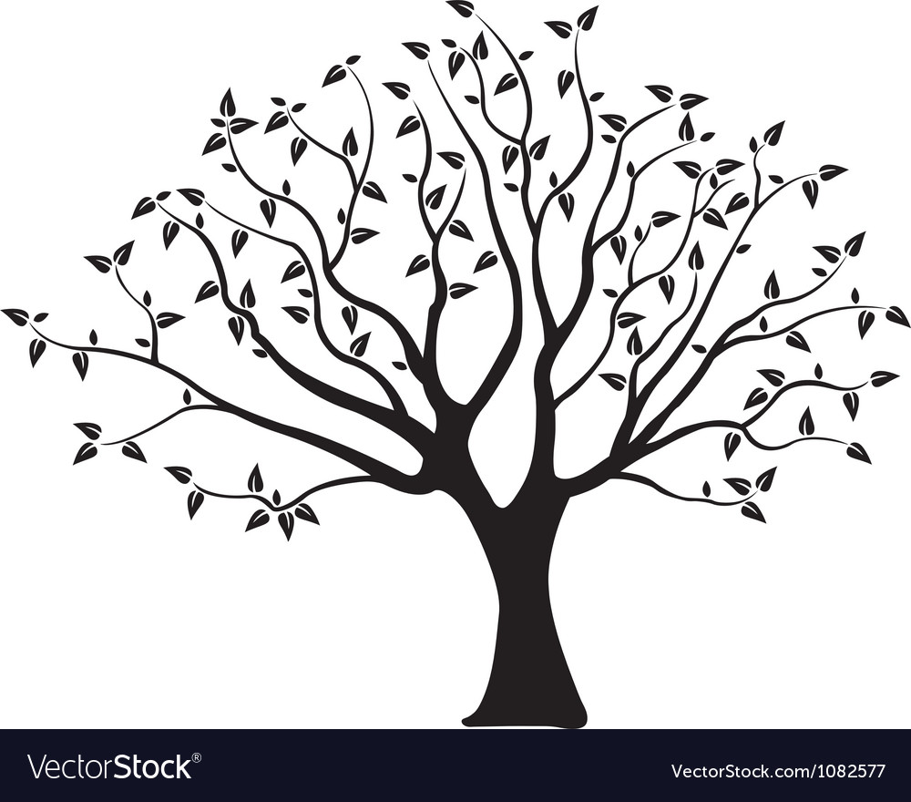 1000x880 Gallery Tree Vector,