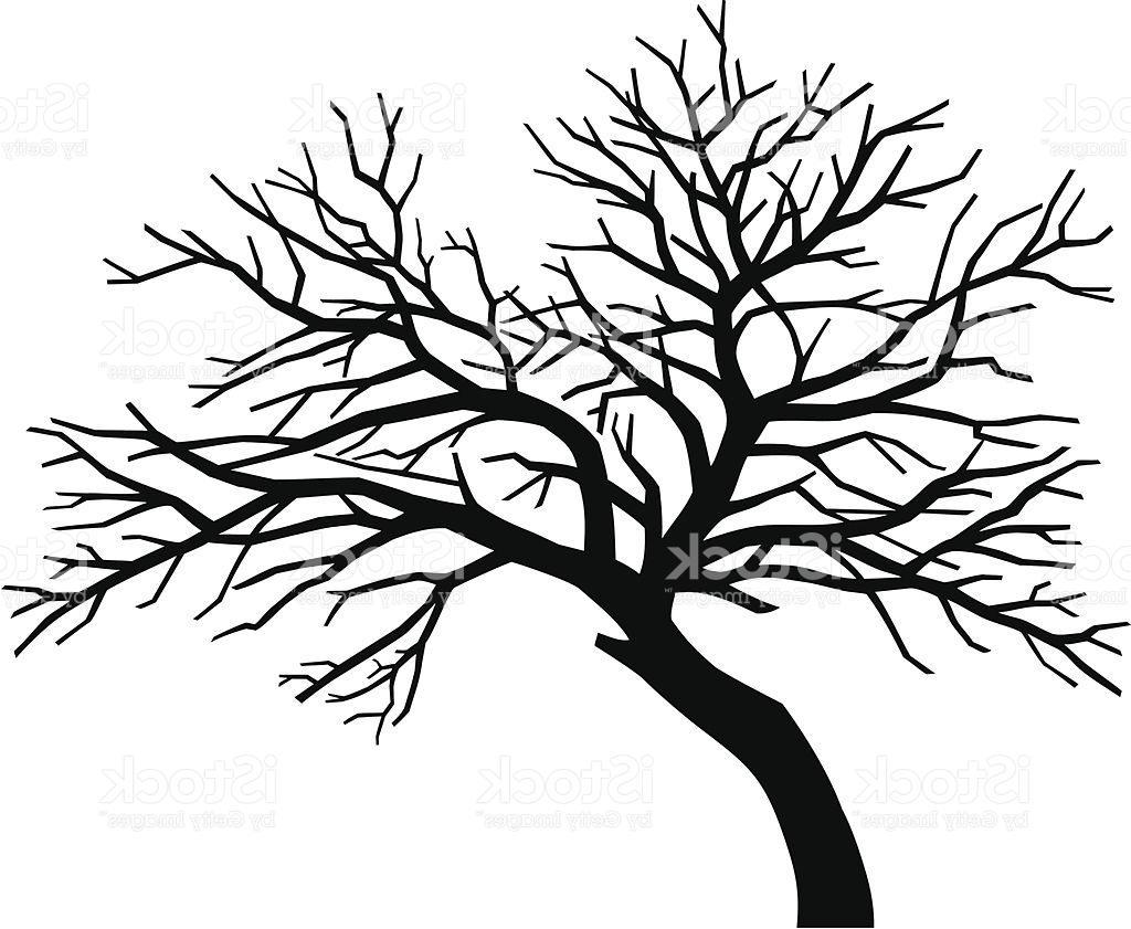 Tree Vector Drawing at GetDrawings | Free download