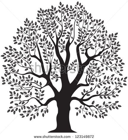 Tree Vector Drawing at GetDrawings | Free download