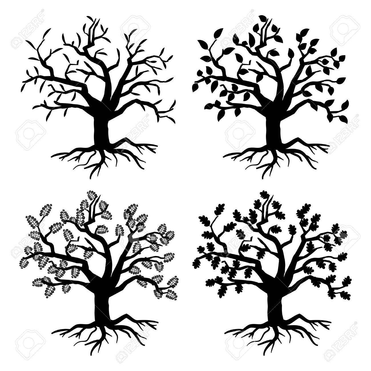 1300x1300 Park Old Trees. Vector Tree Silhouettes With Roots And Leaves