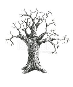 252x300 Tree Vector Illustration Design Premium Clipart