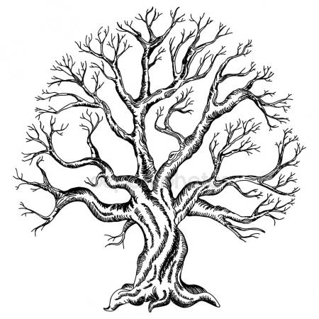 450x450 Tree Vector Stock Vectors, Royalty Free Tree Vector Illustrations