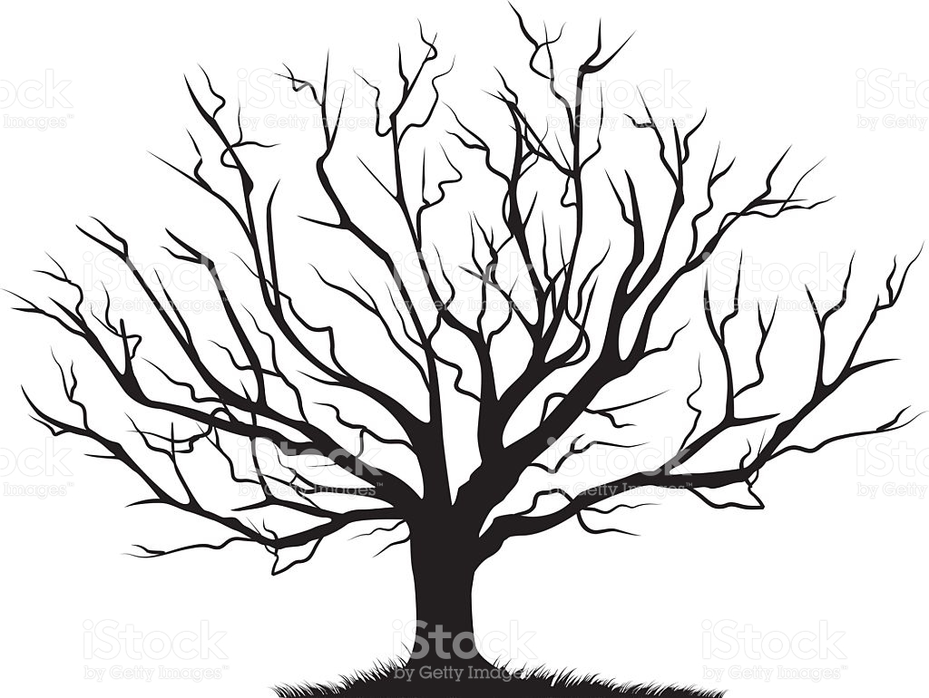 1024x770 Trunk Clipart Empty Tree