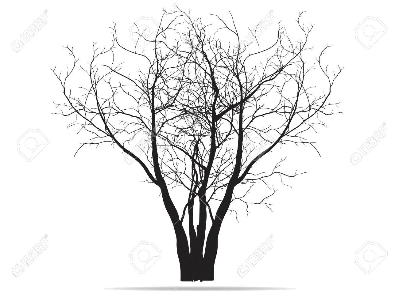 1300x973 Vector Drawing Of The Tree