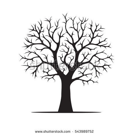 450x470 Tree Vector Image