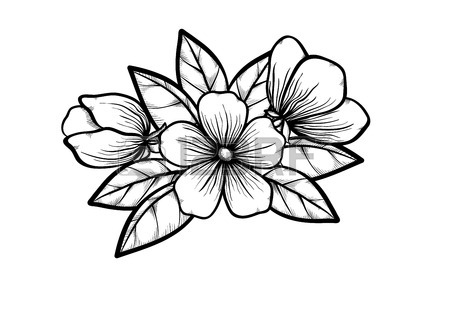 450x312 Simple Black And White Tree Branches Clipart Panda