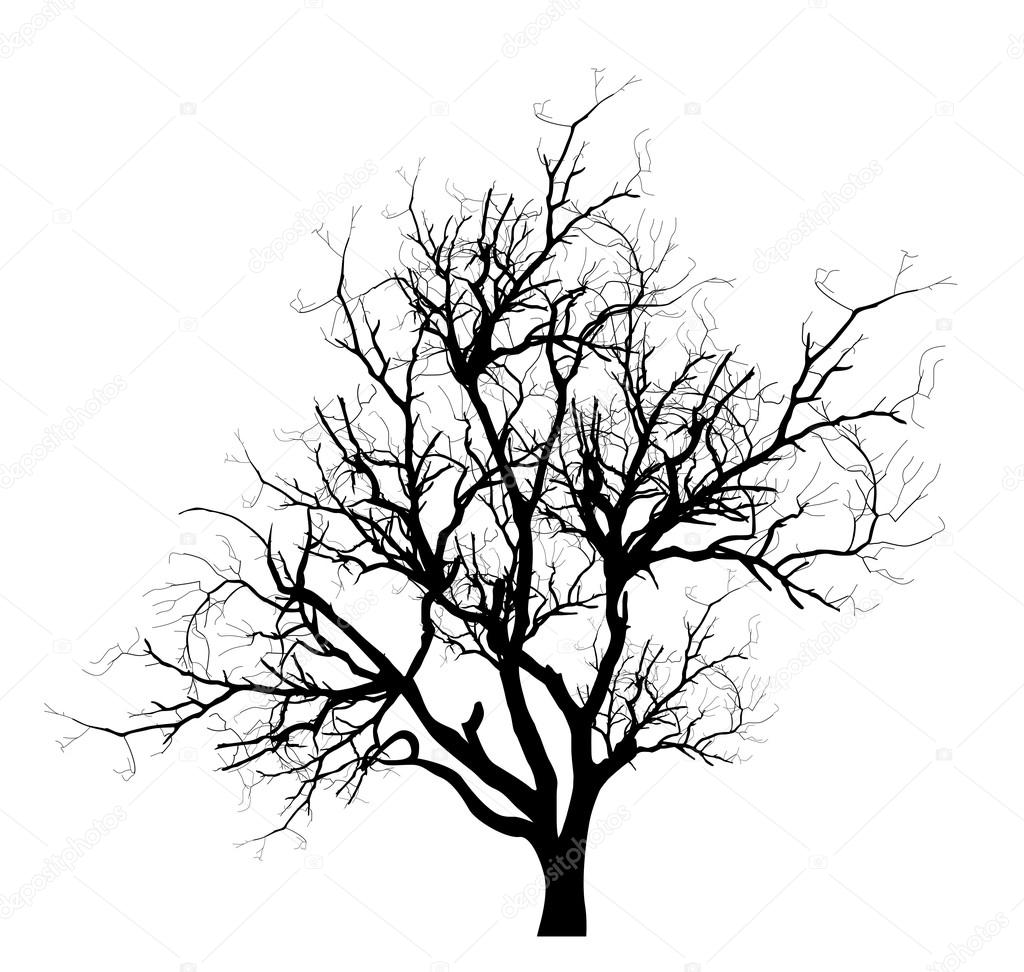 1024x972 Spooky Dead Tree Branches Vector Stock Vector Baavli