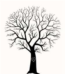 224x255 Welcome To The Website Of The Liwag Family