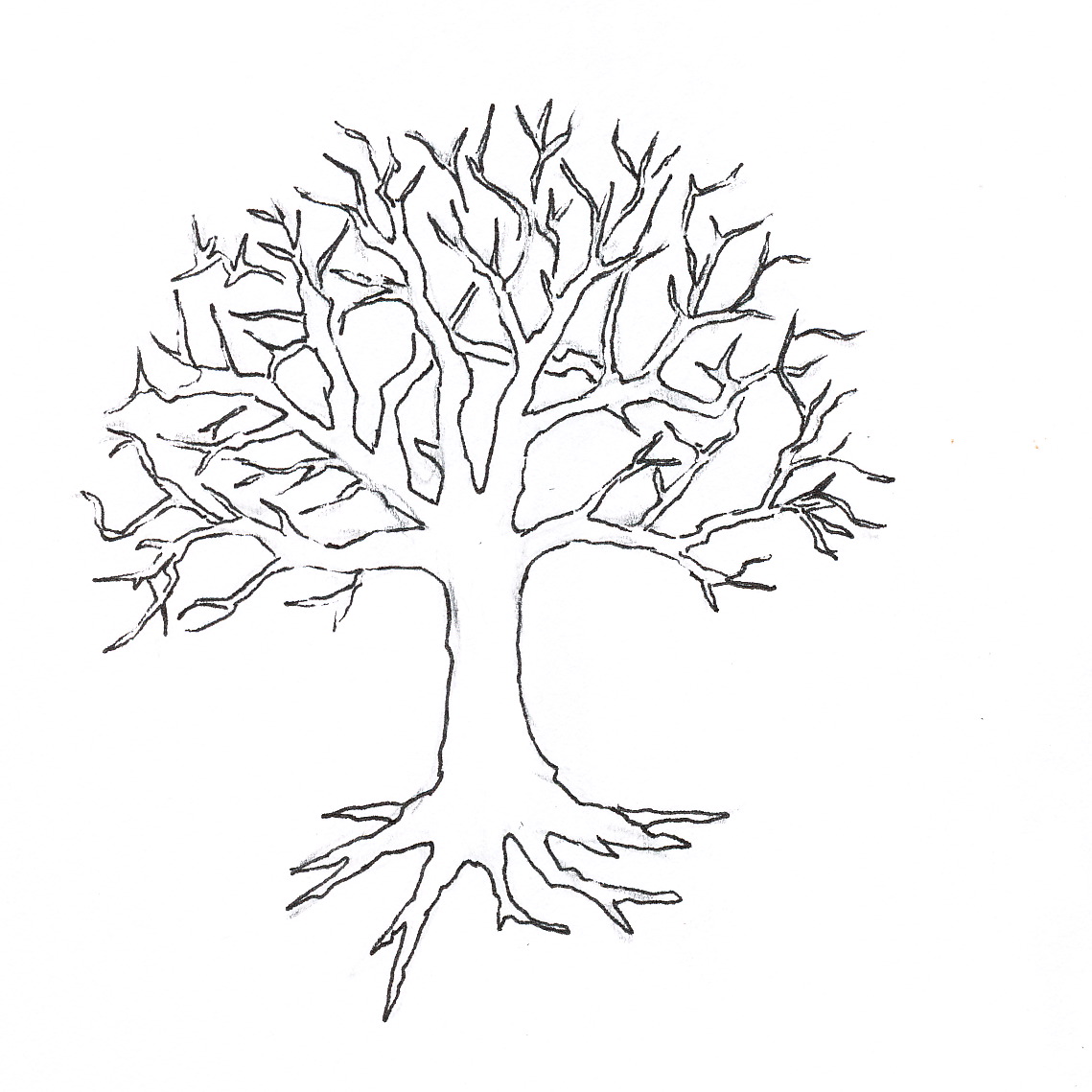 1139x1139 Winter Tree Coloring Page Drawing Trees