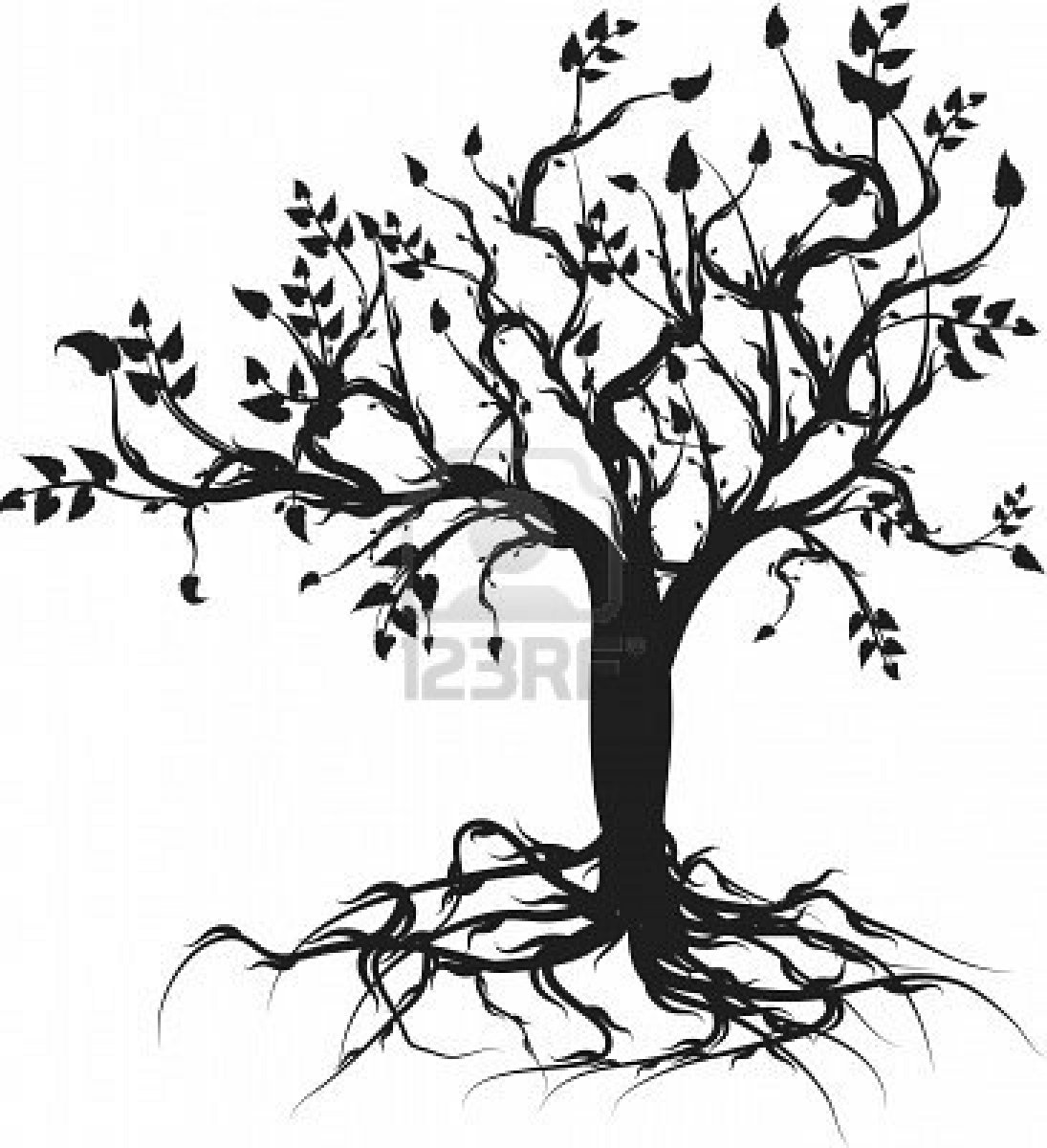 1095x1200 Drawn Roots Cherry Blossom Tree