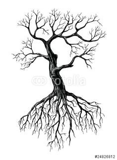 236x323 Images For Gt Bird On Tree Branch Drawing Painting On Canvas