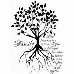 255x255 Roots Clipart Family Tree