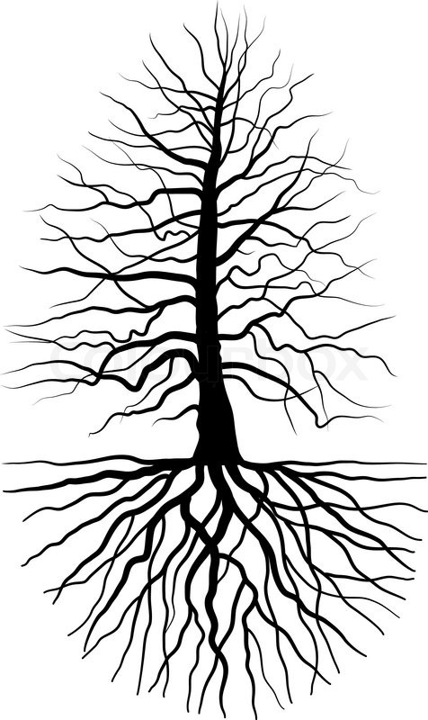 476x800 The Tree And Root Stock Vector Colourbox