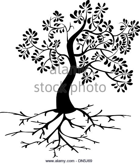 460x540 Tree And Roots Vector Black Stock Photos Amp Tree And Roots Vector