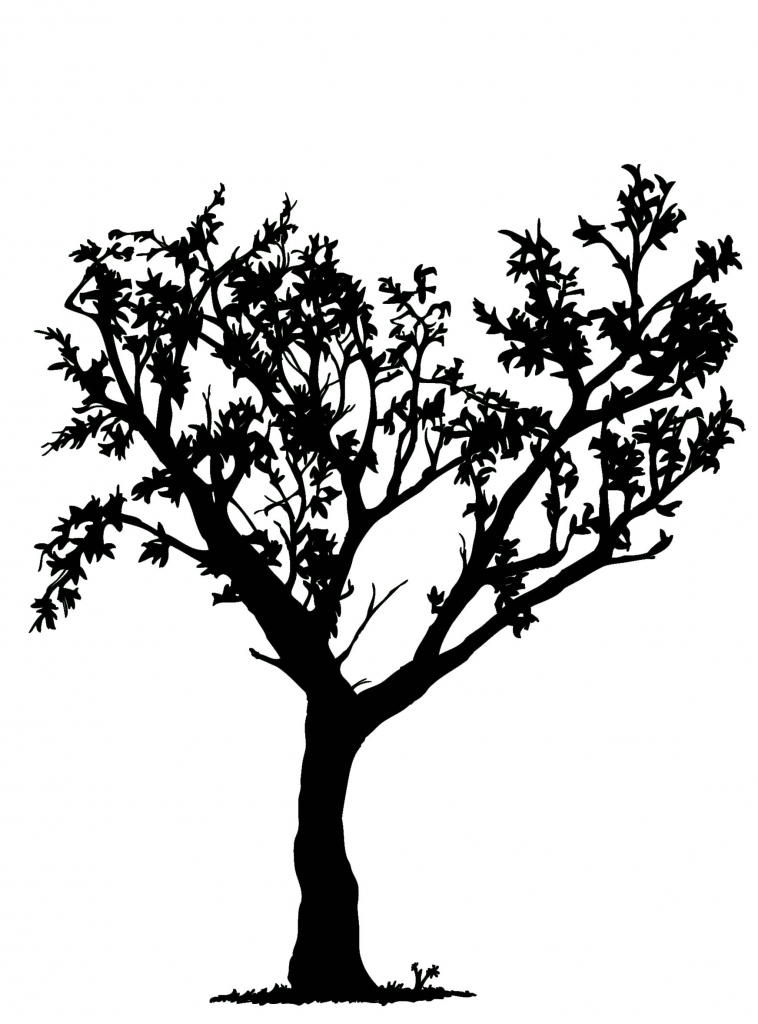 758x1024 Tree Drawing Black And White Tree Drawing Black And White