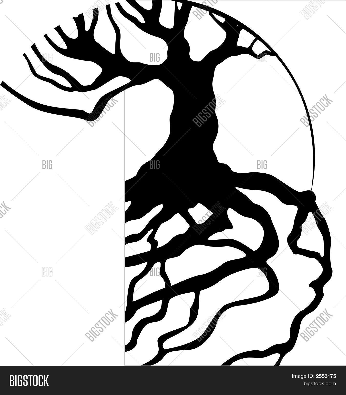 1418x1620 Tree Roots Vector Amp Photo Bigstock