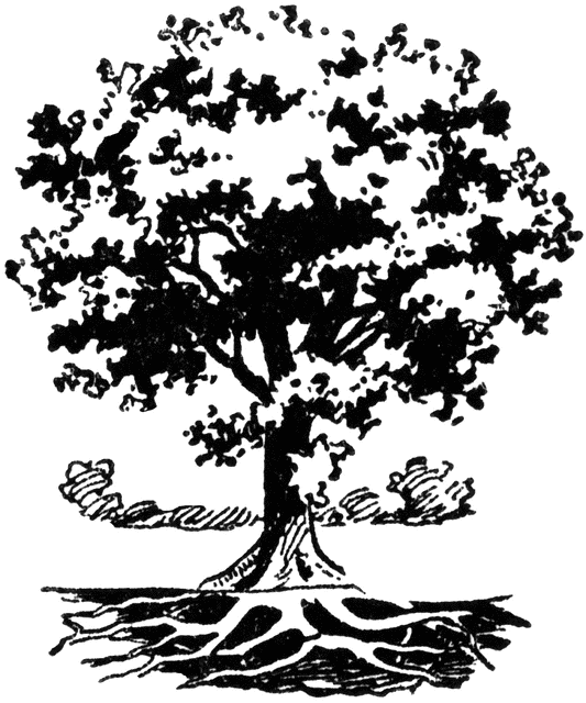 533x640 Tree With Roots Clipart Etc