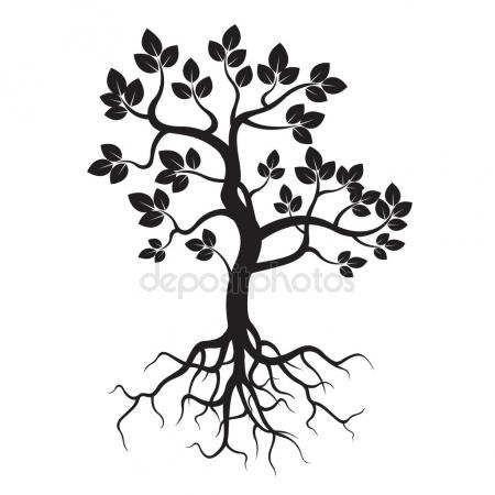 450x450 Young Tree With Roots, White Background Stock Photo Olivier26