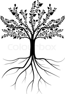 224x320 Decorative Tree Amp Roots , Vector Illustration Stock Vector