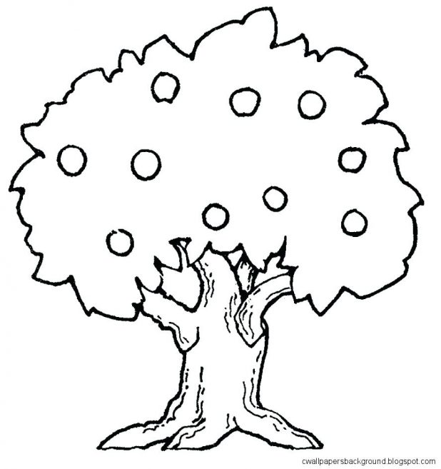 618x657 Royalty Free Illustration Christmas Tree Outline Drawings Trees