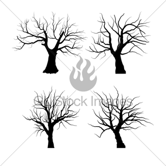 325x325 Sketch Of Dead Tree Without Leaves , Isolated On White Ba Gl
