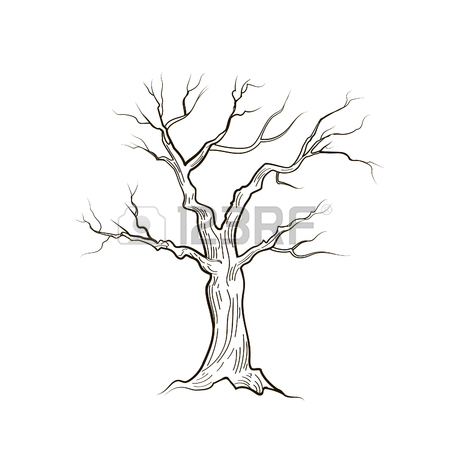450x450 Tree Without Leaves Isolated. Nature Sign Vector Sketch Royalty