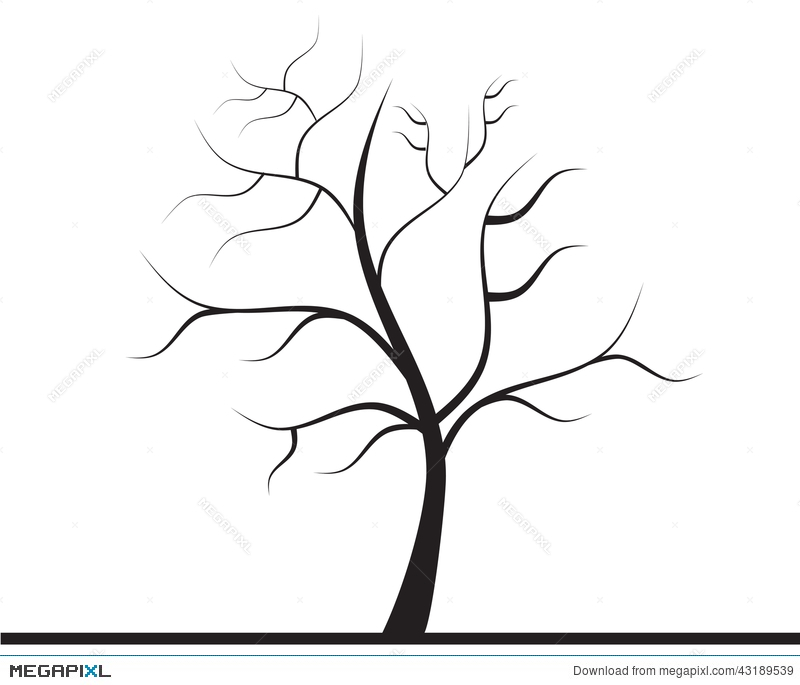800x685 Tree Without Leaves Stock Photo 43189539